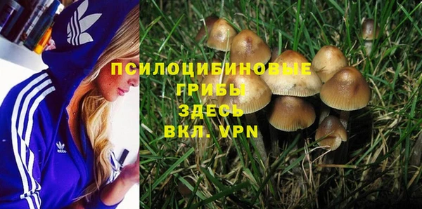 эйфоретик Балахна