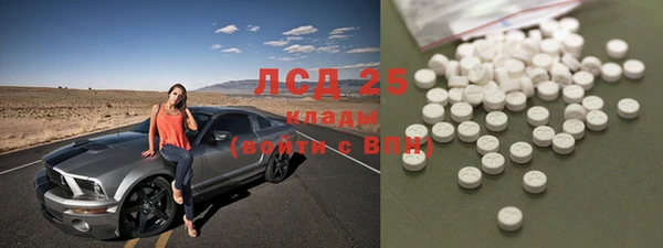 PSILOCYBIN Арсеньев
