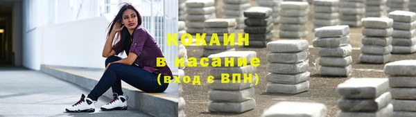 дживик Баксан